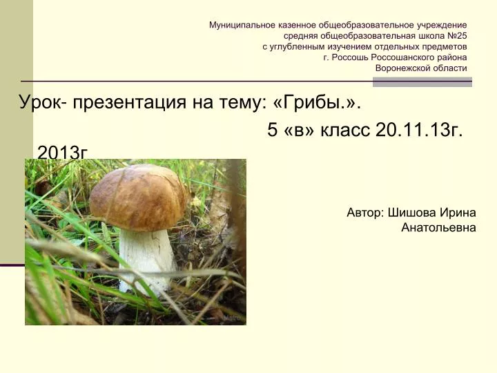 Доклад на тему ядовитые грибы воронежской области