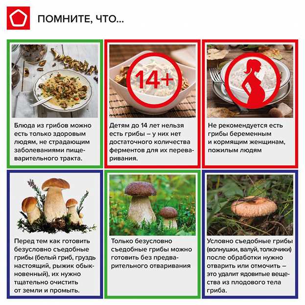 Какие ядовитые грибы едят животные