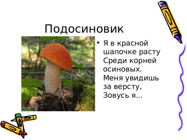 Мир грибов и ягод - презентация