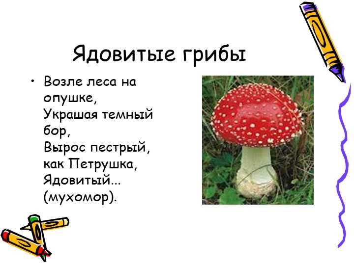 Увлекательная презентация о опасных грибах и ягодах для малышей.