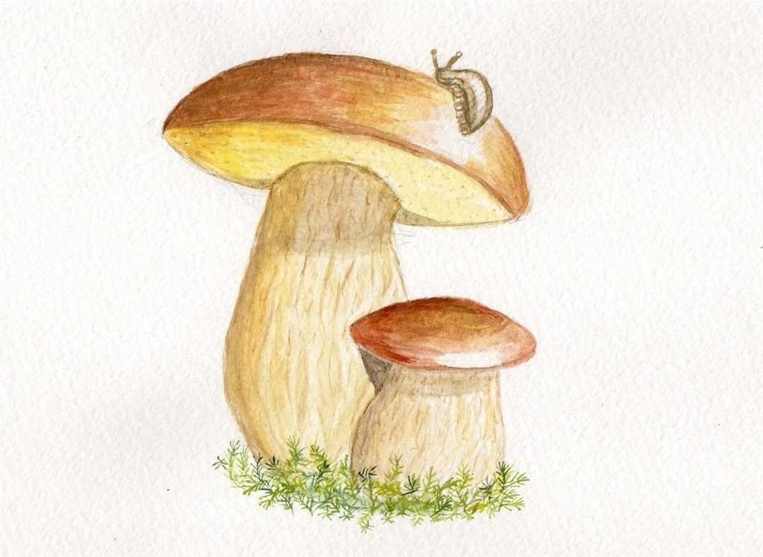 Сатанинский гриб рисунок - 61 фото