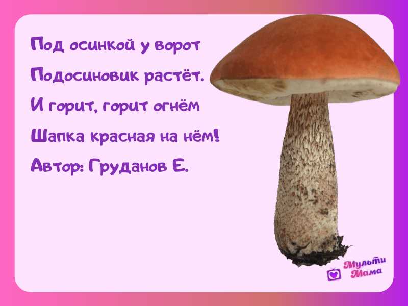 Поэтические описания опасных грибов