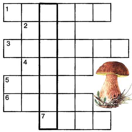 Кроссворд — как называется гриб из 8 букв, который можно считать съедобным?