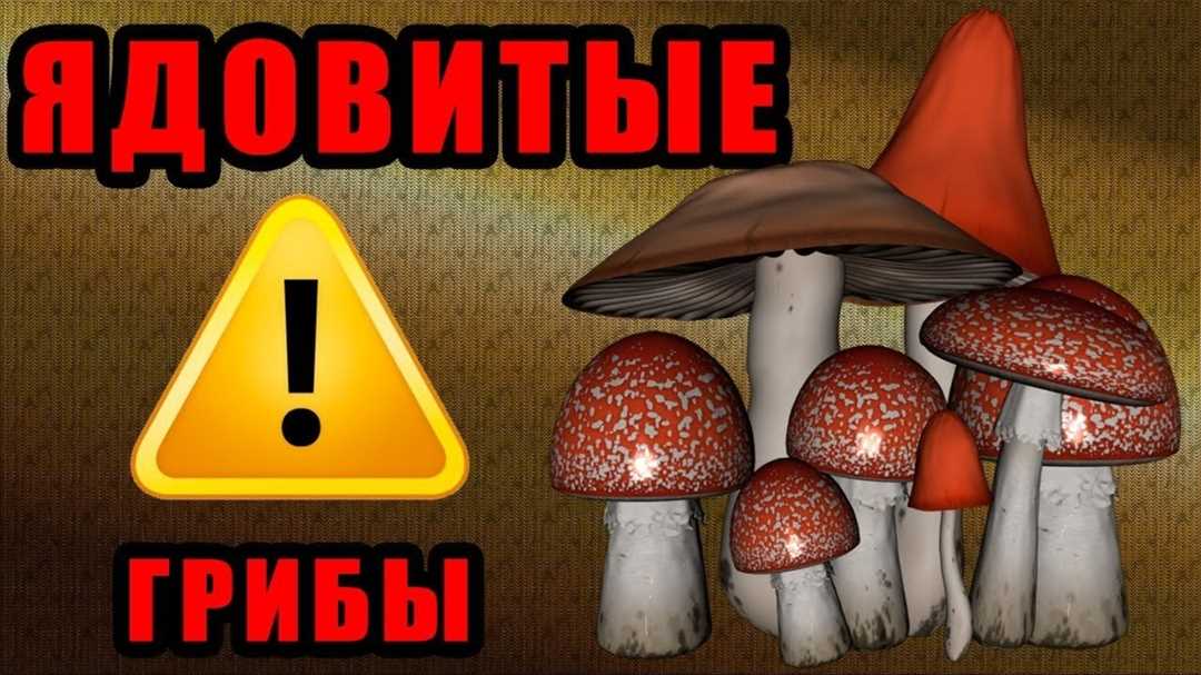 Тест на тему «Ядовитые грибы»