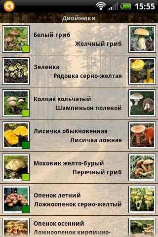 Таблицы с описаниями съедобных, ядовитых и неядовитых грибов